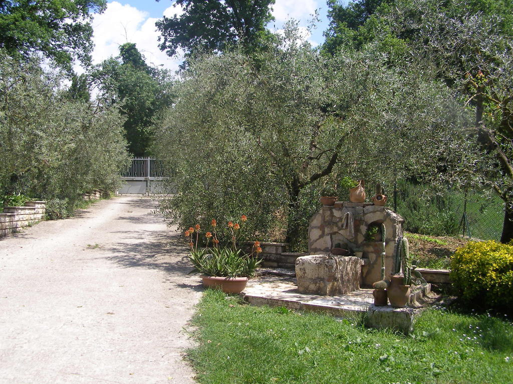 Bed And Breakfast Casale Isorella San Gemini Exteriör bild
