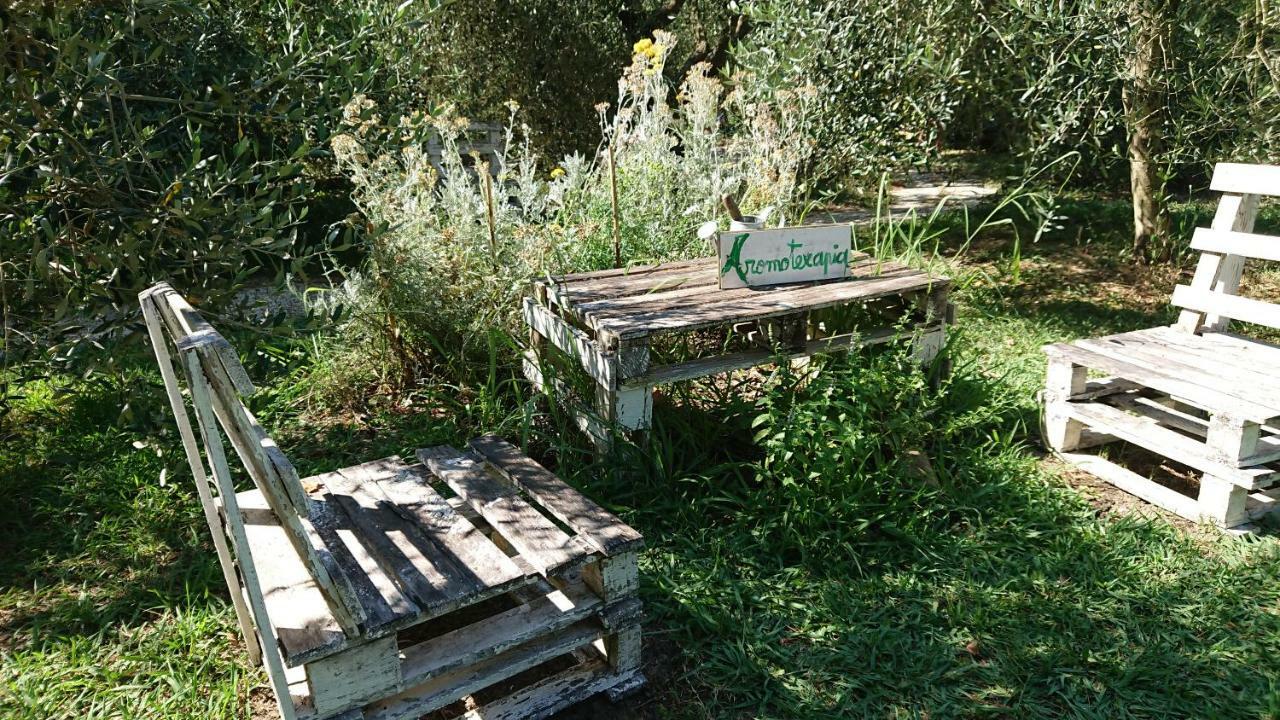 Bed And Breakfast Casale Isorella San Gemini Exteriör bild